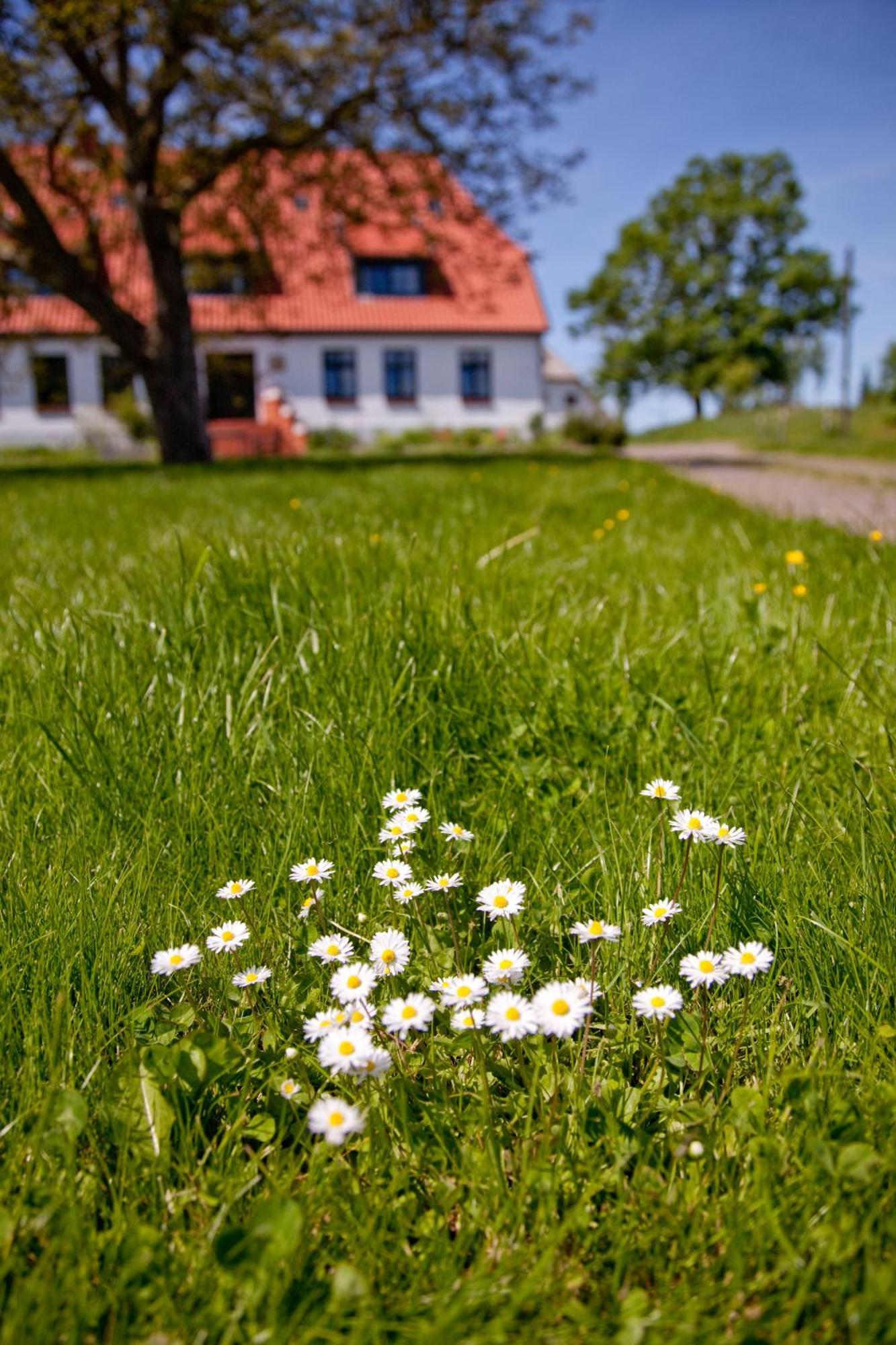 Gutshaus Ketelshagen Hotel Putbus Exterior photo